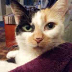 Meet your Posher, Candace